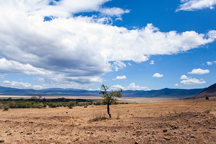 TZA ARU Ngorongoro 2016DEC26 Crater 101